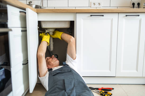 Best Local Plumber Services  in Naugatuck, CT